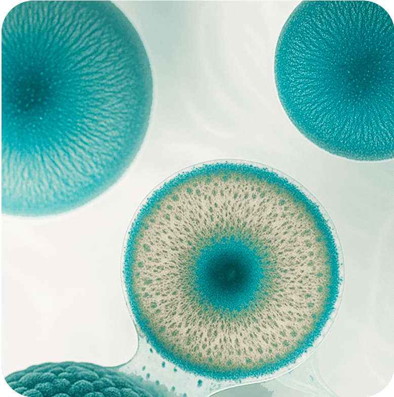 Personalised Interventions - Bespoke treatments and precision medicine